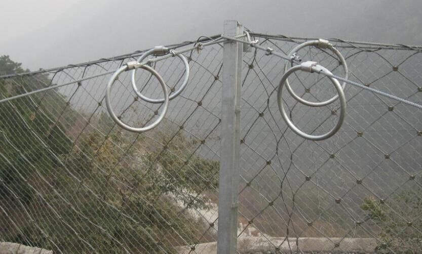 QQ截圖20180123165809.jpg QQ截圖20180123165809.jpg