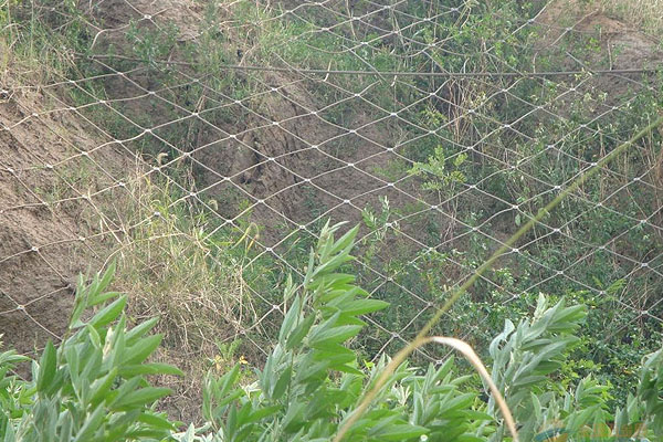 201610241537368426.jpg 201610241537368426.jpg